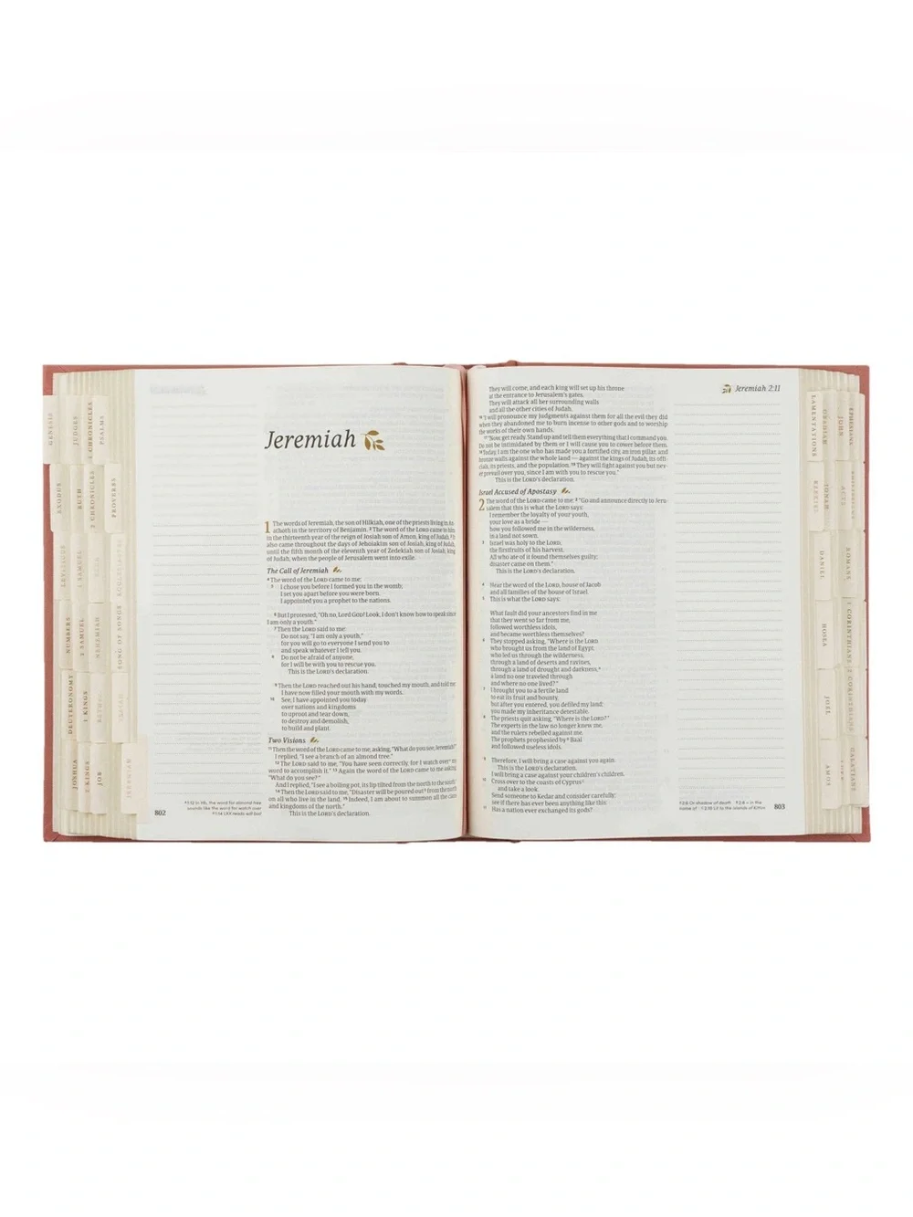 Hosanna Revival Gold Foiling Bible Tabs